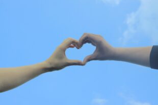 Comment Évaluer la Rentabilit