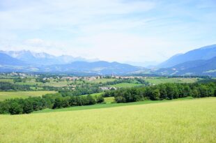 Les Startups Prometteuses à Suivre